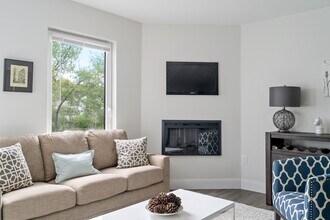 50 Stedman St in Boston, MA - Building Photo - Building Photo