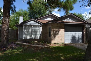 9130 Autumn Harvest Dr in Houston, TX - Building Photo