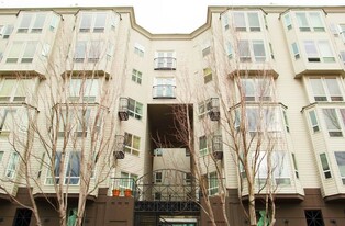 Alexandria Condominiums in Seattle, WA - Foto de edificio - Building Photo