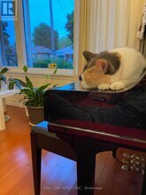 22 Princeway Dr in Toronto, ON - Building Photo - Building Photo