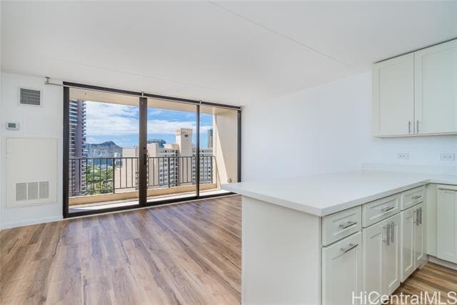 property at 411 Hobron Ln