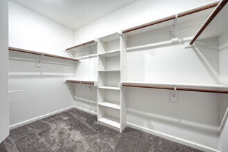 309 Mule Deer Mews in Little Elm, TX - Building Photo - Building Photo