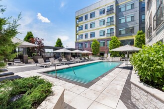 Luxe at Alewife in Cambridge, MA - Building Photo - Building Photo