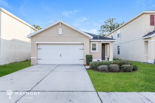 10207 Hawk Storm Ave in Tampa, FL - Building Photo