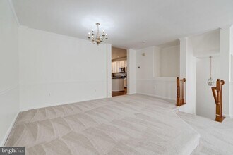 5136 Ballycastle Cir in Alexandria, VA - Building Photo - Building Photo