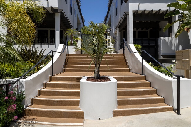 Vista Paradiso in Studio City, CA - Foto de edificio - Building Photo