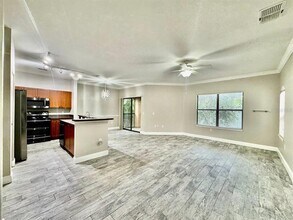 2188 Chianti Pl in Palm Harbor, FL - Building Photo - Building Photo