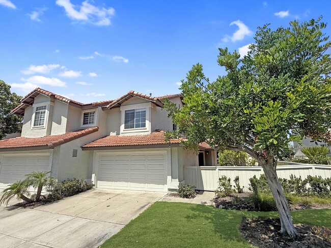 property at 11162 Caminito Rodar