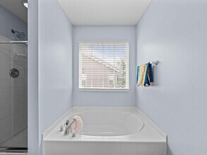 2950 Settle In Ln in Raleigh, NC - Building Photo - Building Photo