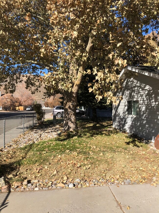 4075 Ramsey Cir in Carson City, NV - Building Photo - Building Photo
