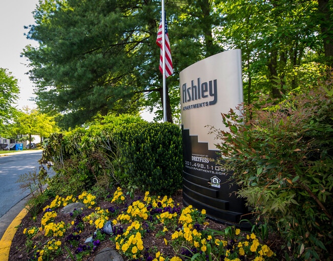 Ashley Apartments