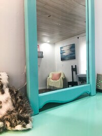 125 Frederick St photo'