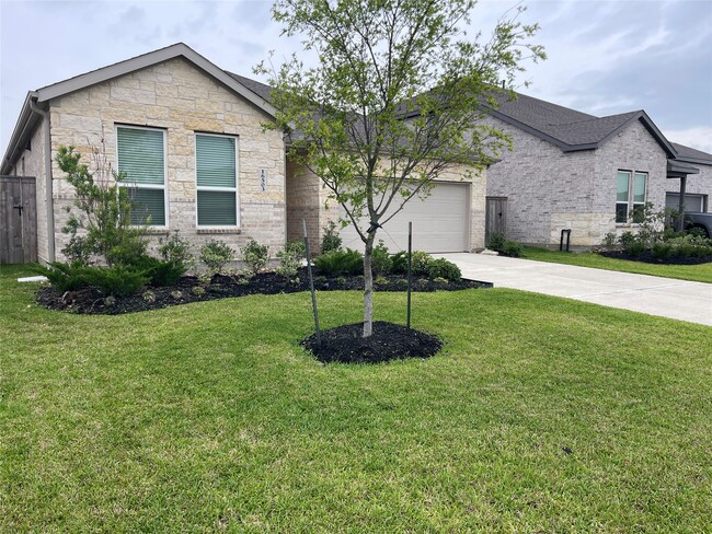 property at 16503 Texas Palmetto Wy
