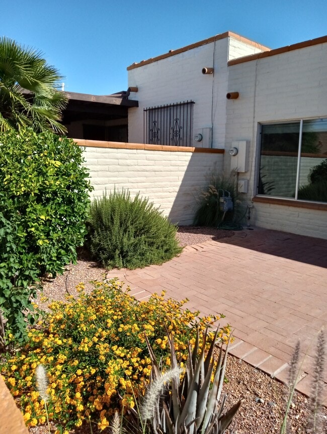 property at 1434 De Nada