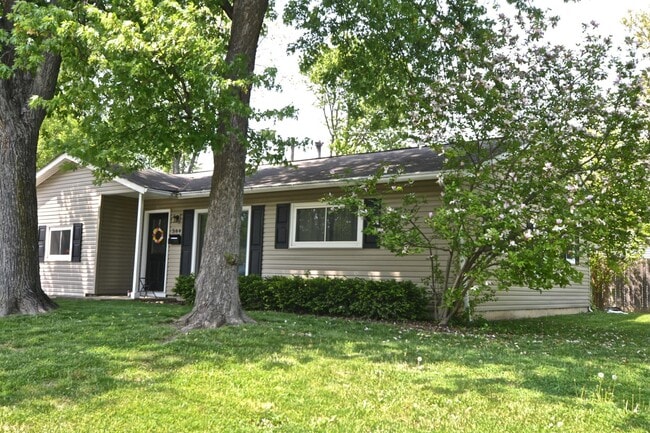 property at 564 Palace Ln