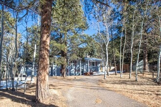 1148 Park View Rd in Woodland Park, CO - Building Photo - Building Photo