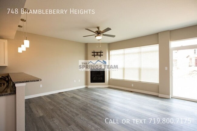 748 Brambleberry Hts in Colorado Springs, CO - Building Photo - Building Photo