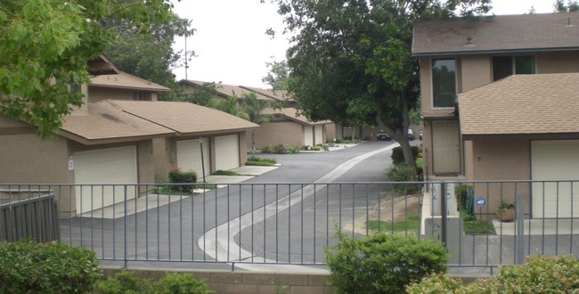 Cypress Park Townhomes in Ontario, CA - Building Photo - Building Photo