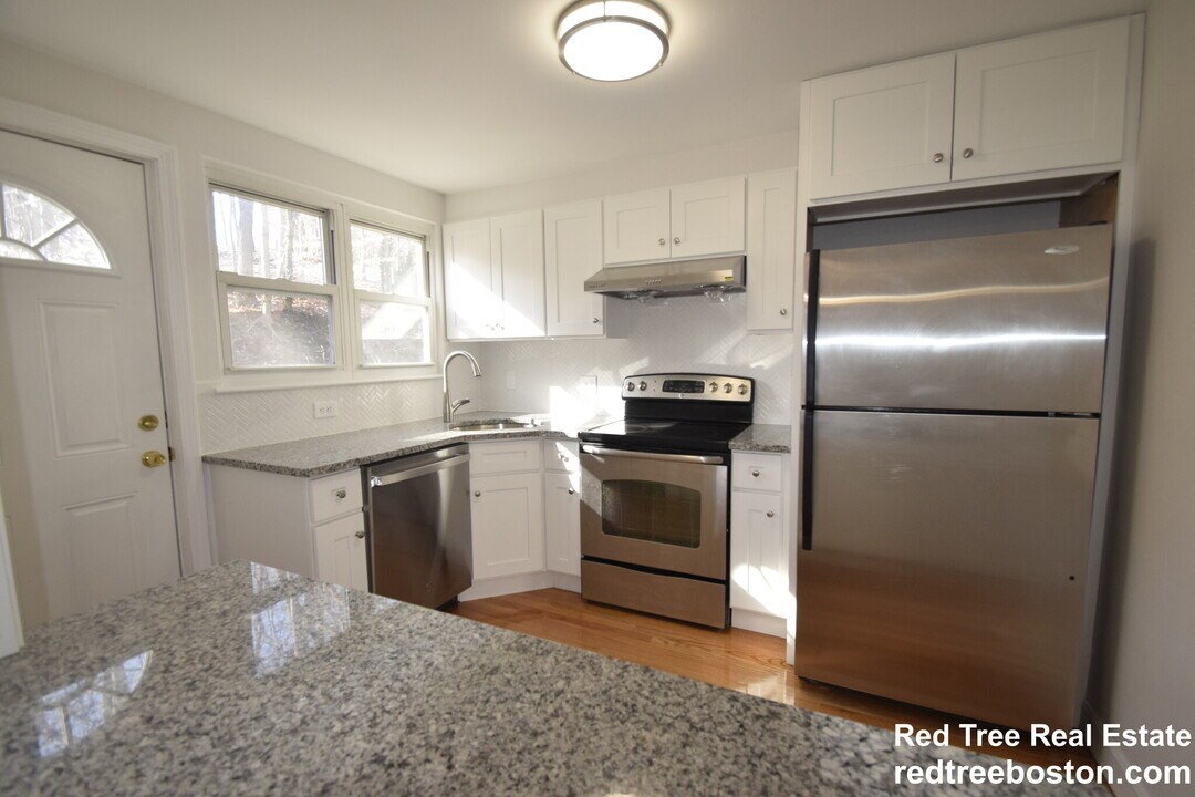 117 Chestnut St, Unit 3 in Brookline, MA - Foto de edificio