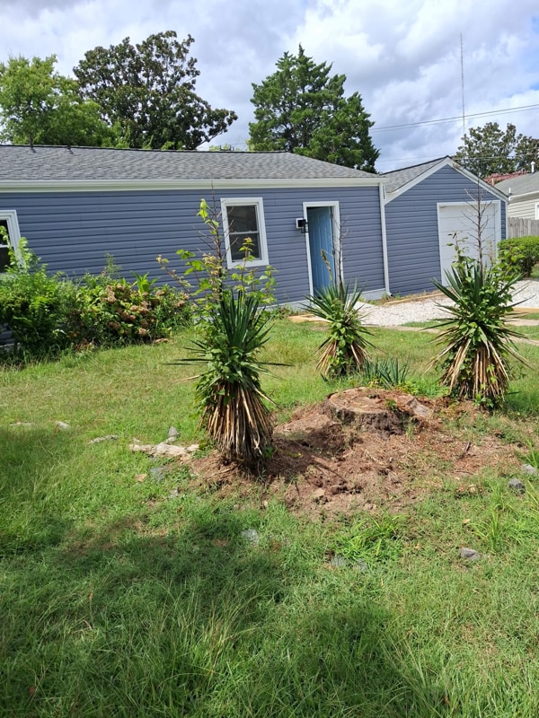 1311 Wingfield Ave in Chesapeake, VA - Building Photo - Building Photo