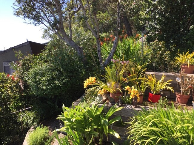 869 Ocean Ave in Richmond, CA - Building Photo - Building Photo