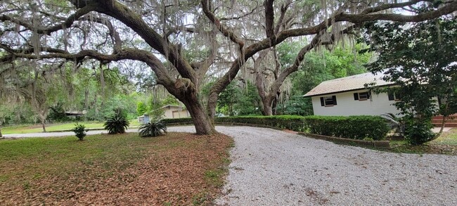 141 SE 59th St in Keystone Heights, FL - Foto de edificio - Building Photo