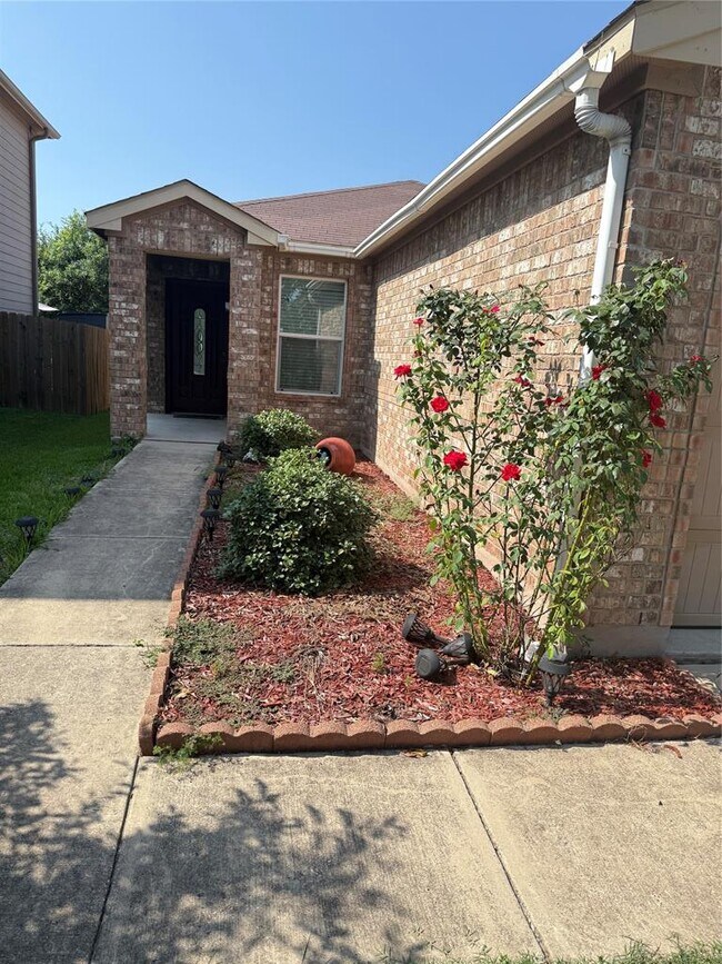 6600 Glebe Path in Austin, TX - Building Photo - Building Photo