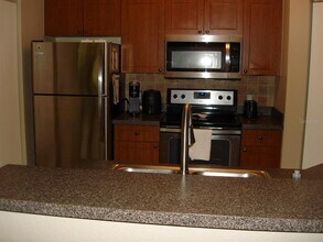 2141 Portofino Pl in Palm Harbor, FL - Building Photo - Building Photo