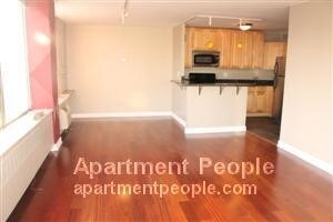 1355 N Sandburg Terrace-Unit -1202 in Chicago, IL - Building Photo - Building Photo