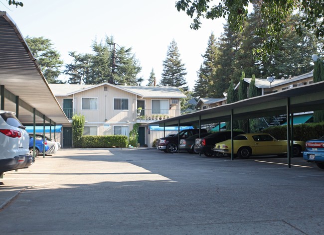 Bellflower Apartments in Lodi, CA - Building Photo - Building Photo