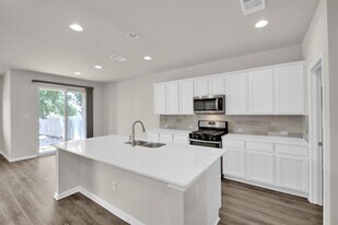 1829 Chickasaw Run in Leander, TX - Building Photo