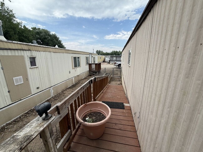1303 N College Ave in Fort Collins, CO - Building Photo - Building Photo
