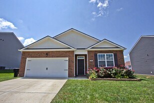 248 Autumn Terrace Ln in Clarksville, TN - Building Photo