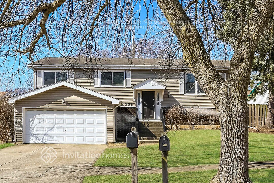 233 Whitewater Dr in Bolingbrook, IL - Building Photo