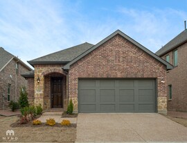 3101 Damsel Sauvage Ln in Lewisville, TX - Building Photo