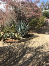 6675 Sunset Rd, Unit Cottage in Joshua Tree, CA - Building Photo - Building Photo