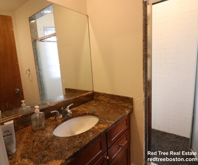 64 Louis Prang St, Unit 3 in Boston, MA - Foto de edificio - Building Photo