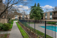 Terrace Apartments in Pleasant Hill, CA - Building Photo - Building Photo