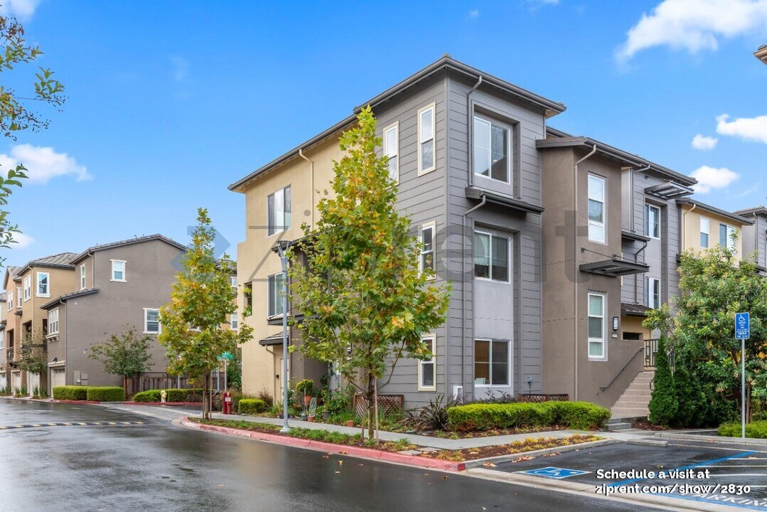 1937 Cadence Ln in Milpitas, CA - Building Photo