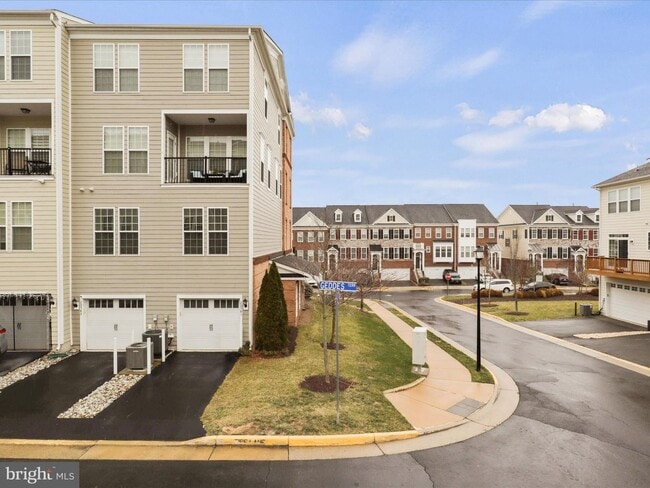 20581 Geddes Ter in Ashburn, VA - Building Photo - Building Photo