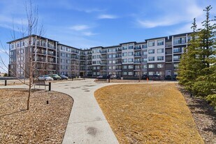 395-1395 Skyview Pkwy NE in Calgary, AB - Building Photo