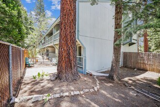 3200 N Lake Blvd, Unit Dollar Hill I #16 in Tahoe City, CA - Building Photo - Building Photo