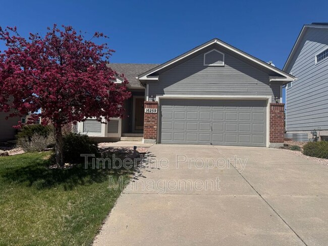 property at 16259 Windy Creek Dr