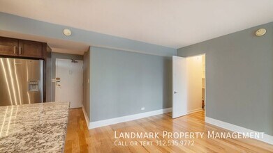 253 E Delaware Pl in Chicago, IL - Building Photo - Building Photo