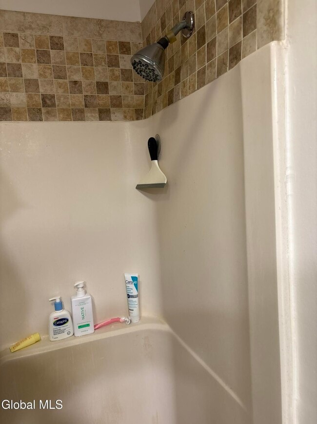 161 Cedarview Ln in Watervliet, NY - Building Photo - Building Photo