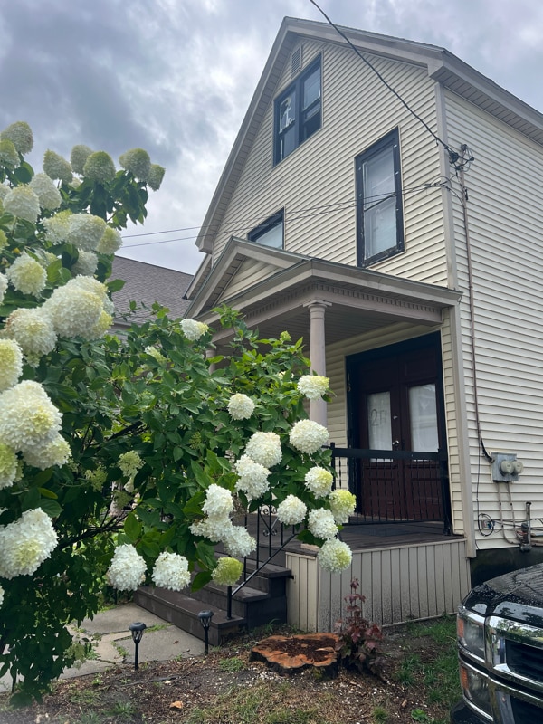 16 Stewart St