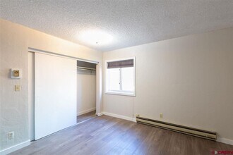 117 7th St in Crested Butte, CO - Building Photo - Building Photo