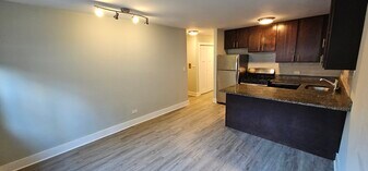 1437 N Dearborn St, Unit 1435- 2C in Chicago, IL - Building Photo