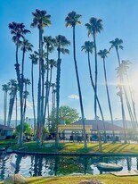 43376 Cook St in Palm Desert, CA - Building Photo