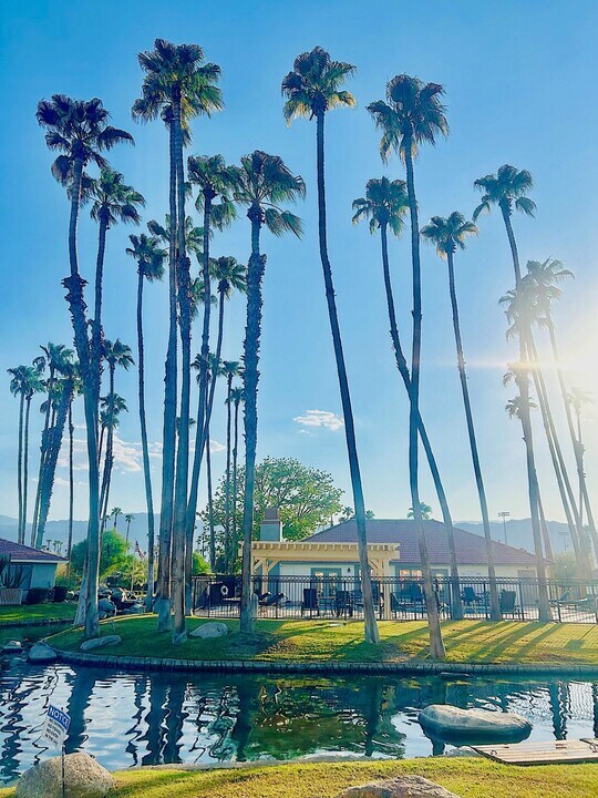 43376 Cook St in Palm Desert, CA - Building Photo